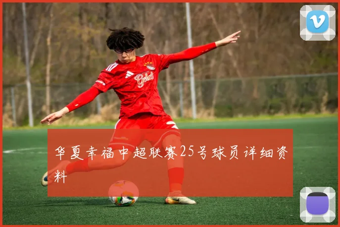 华夏幸福中超联赛25号球员详细资料